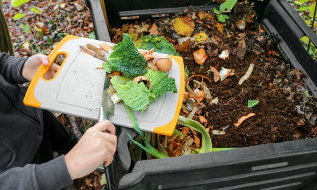 Domácí kompostér: Od jeho založení až po to, jak správně kompostovat