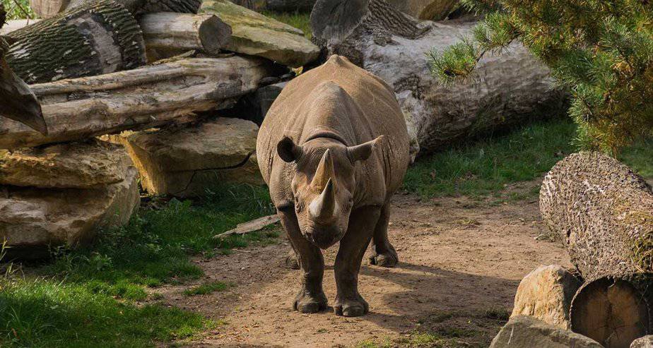 Podzimní ZOO stojí za návštěvu – kterou poznáte letos?